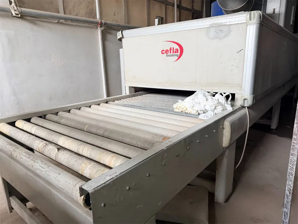 Cefla Easy 2000/D UV Curing Paint Spraying Line (2006) — 3/14