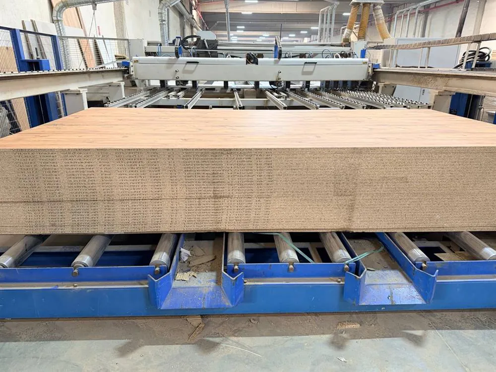 KDT P 38 T Asansörlü Panel Ebatlama Makinesi (2014) — 3/8