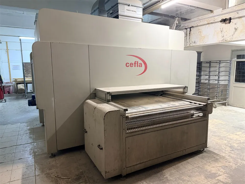 Cefla Falcioni Otomatik Boya Atım Makinesi (2006) — 5/15