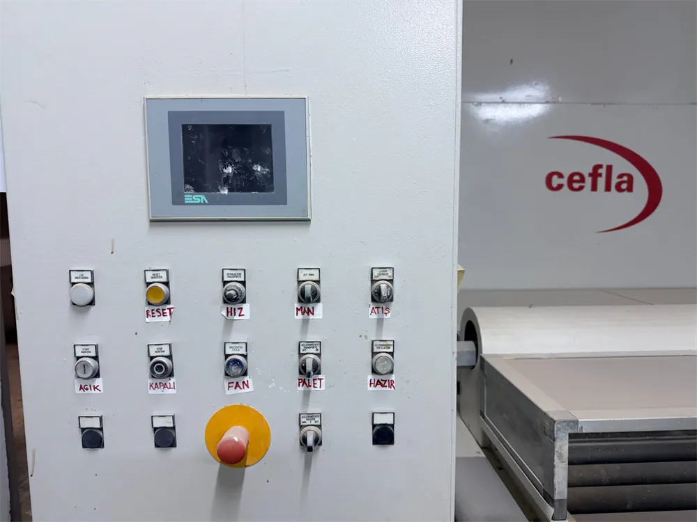 Cefla Falcioni Otomatik Boya Atım Makinesi (2006) — 6/15