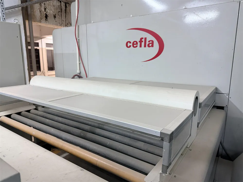 Cefla Falcioni Otomatik Boya Atım Makinesi (2006) — 3/15