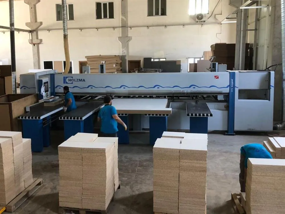 Homag Holzma Hpl 510/56/43 Asansörlü Panel Ebatlama Makinesi (2006) — 2/11