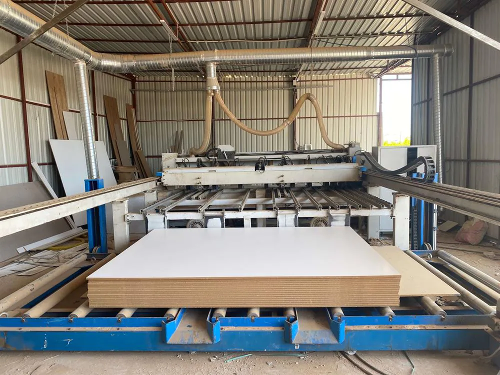 KDT Sawtech Pro 38T Asansörlü Panel Ebatlama Makinesi (2016) — 4/10