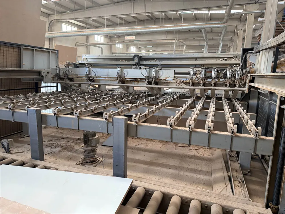 Biesse Selco Wnt 600 Asansörlü Panel Ebatlama Makinesi (2003) — 6/9