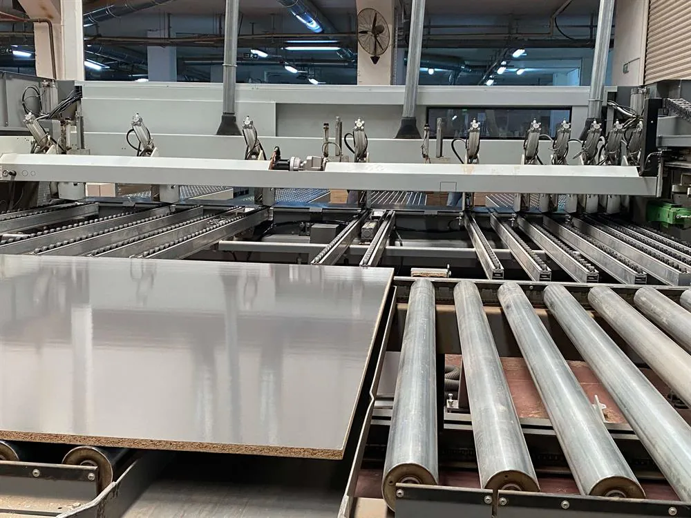 Biesse Selco Wnt 6 Twin Pusher Asansörlü Panel Ebatlama Makinesi (2020) — 12/12