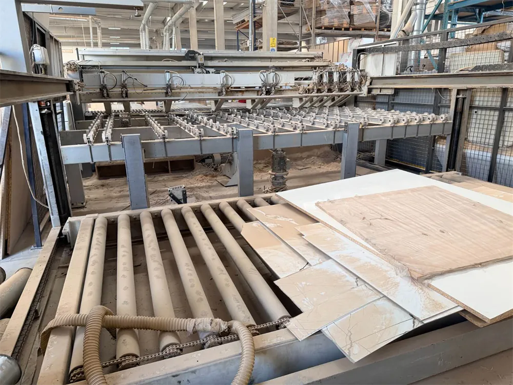Biesse Selco Wnt 600 Asansörlü Panel Ebatlama Makinesi (2003) — 8/9