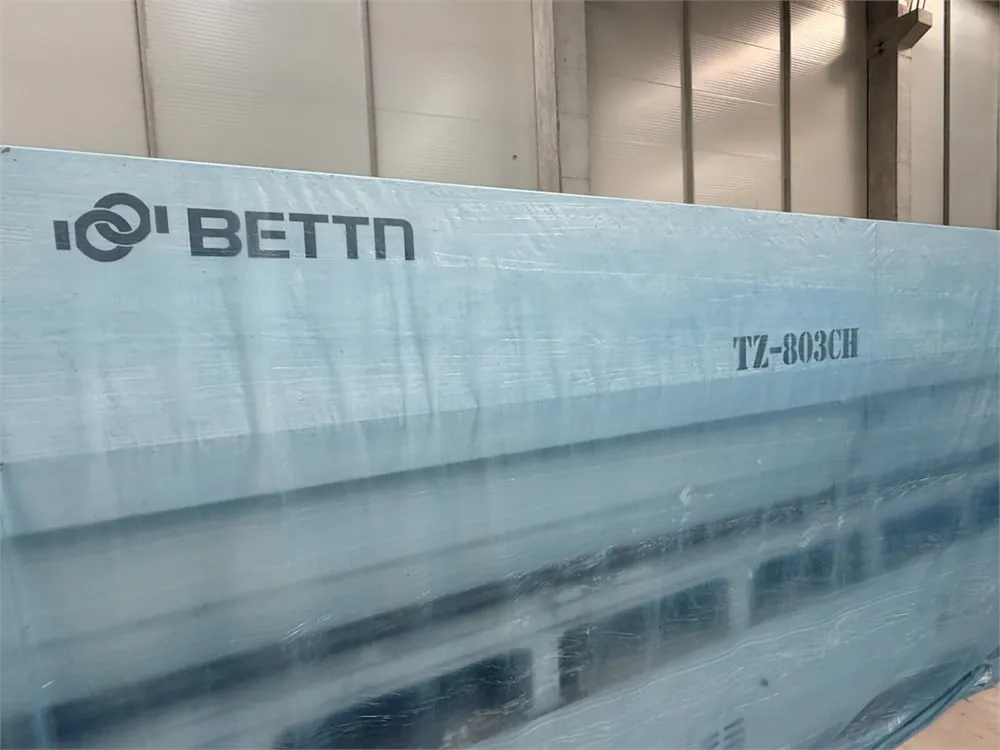 Bettn TZ - 803 CH Kenar Bantlama Makinesi (2023) — 2/15