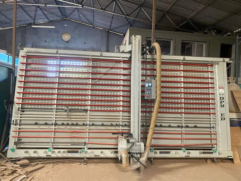 Bala Makine DPM ED 2141 Vertical Panel Saw (2016) — 2/8