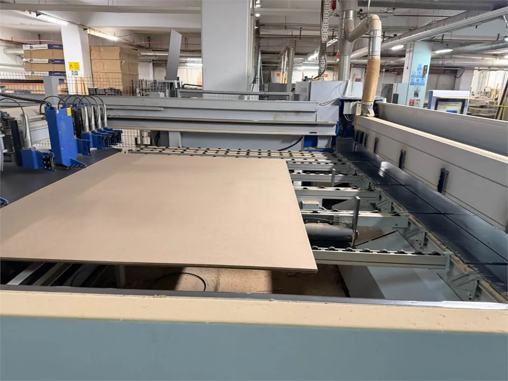 HOMAG Holzma Hpl 11 43/22 Asansörlü Arkadan Yüklemeli Panel Ebatlama Makinesi (2007) — 8/12