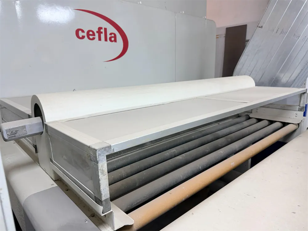 Cefla Falcioni Otomatik Boya Atım Makinesi (2006) — 4/15