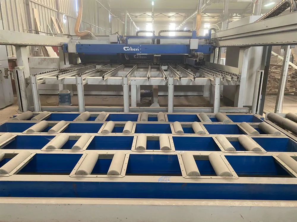 Giben Prisma 3000 SPT-Y Twinpusher Asansörlü Yandan Yüklemeli Panel Ebatlama Makinesi (2009) — 6/12